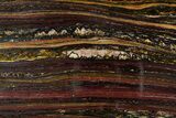 Polished Tiger Iron Stromatolite Slab - Billion Years #351879-1